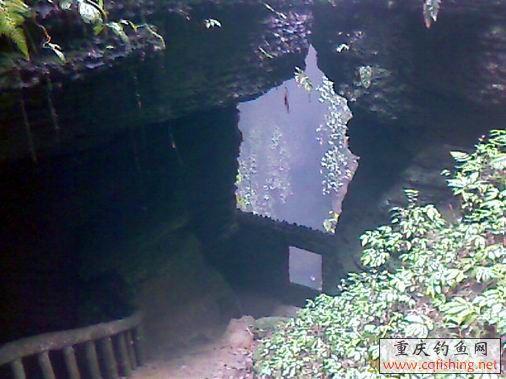 IMAGE_651.jpg