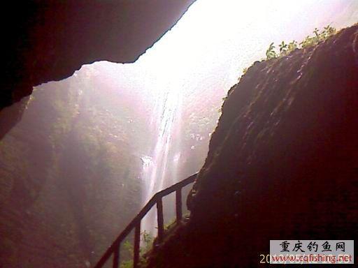 IMAGE_667.jpg