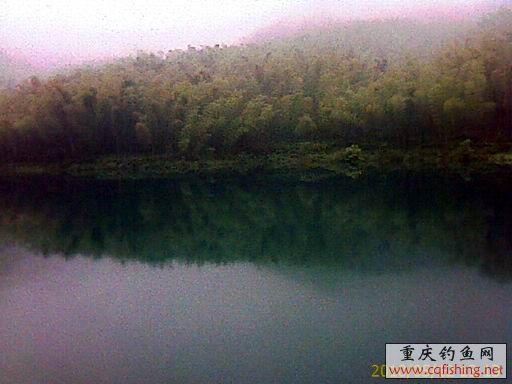 IMAGE_700.jpg