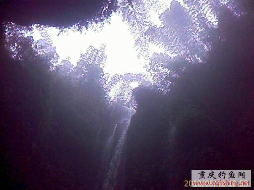 IMAGE_668.jpg