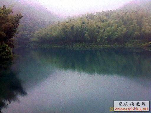 IMAGE_692.jpg