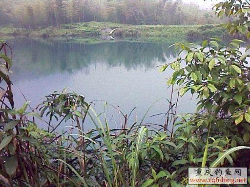 IMAGE_701.jpg