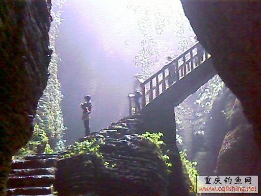 IMAGE_658.jpg