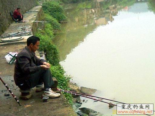 IMAGE_612.jpg