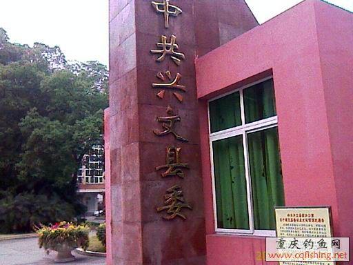 IMAGE_554.jpg