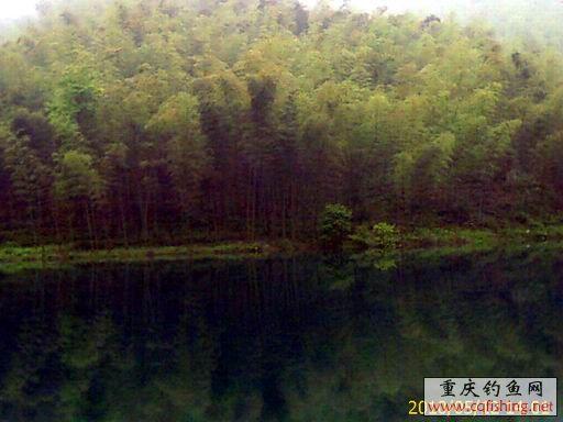 IMAGE_715.jpg