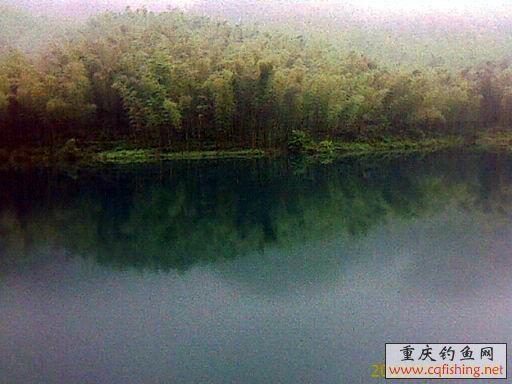 IMAGE_691.jpg