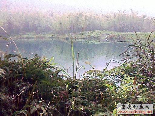 IMAGE_716.jpg