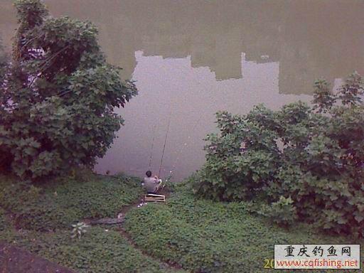 IMAGE_745.jpg