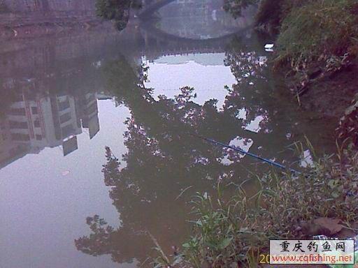 IMAGE_746.jpg