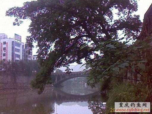  IMAGE_749.jpg
