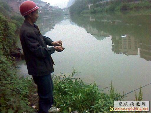  IMAGE_750.jpg