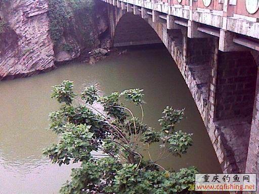  IMAGE_741.jpg