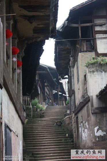 20090805_e8a4ba3763c0f0d16c85x0XakzWNiR0t.1.jpg