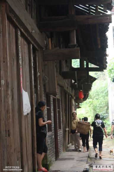 20090805_609cf1cc934811c57ffbDPmZUCdWoPzP.jpg
