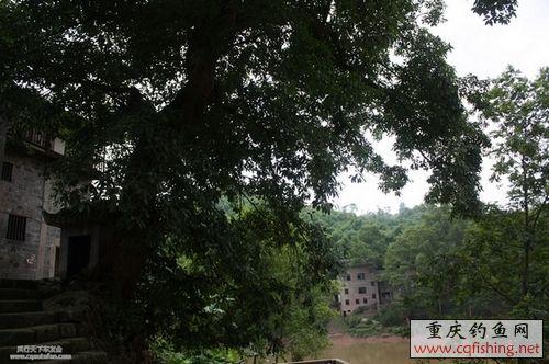 20090805_71fa1b6a9819f5023b0aeqDMjLGPfJJO.1.1.jpg