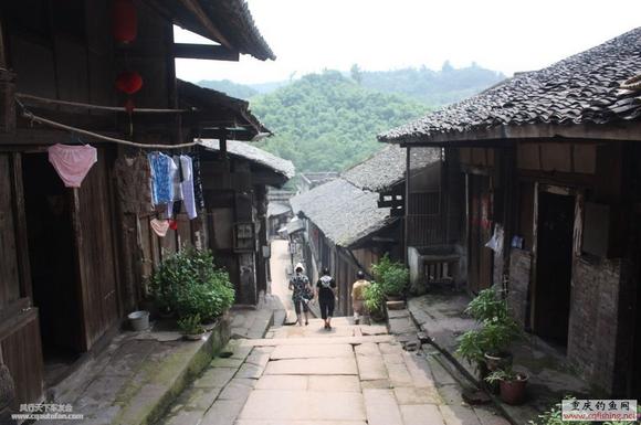 20090805_cfe75815efeff03f36e6FM31nfmCpEQy.jpg