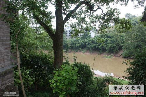 20090805_e67a901f3a6a869b2badC844x0IjO2ur..ˮ.jpg