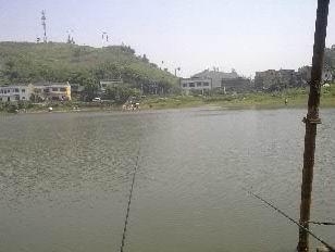 20090124162-001.jpg
