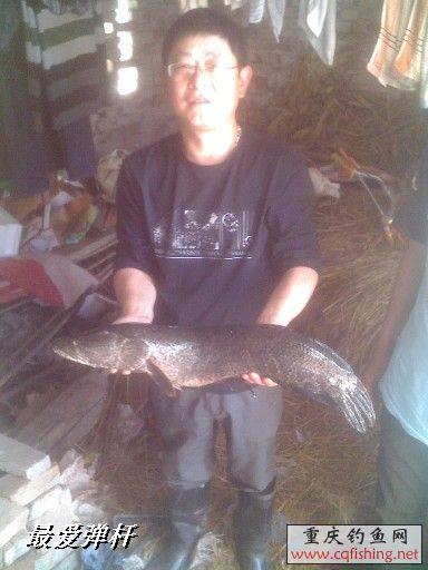 BigBull_0523_144956.jpg