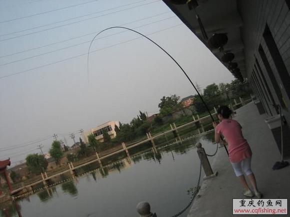 43703_1244904821w4yf.jpg