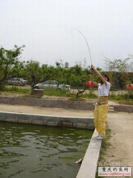 2007051420570798.jpg