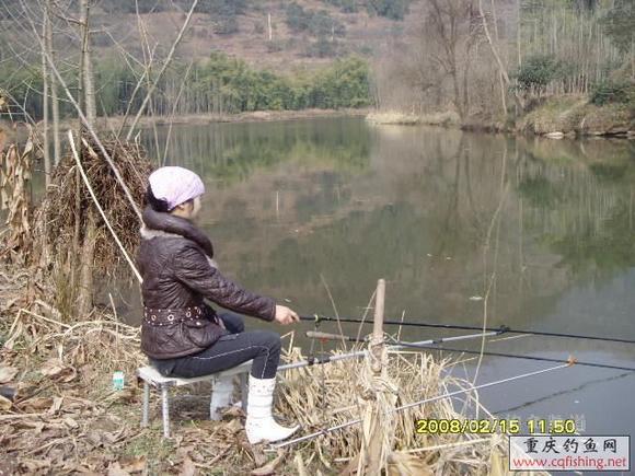2008021720335995.jpg