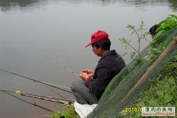 SDC12315.JPG