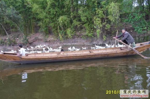 SDC12366.JPG