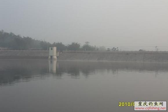 SDC12306.JPG