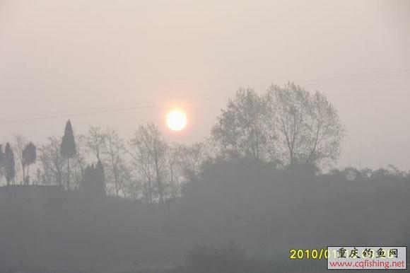 SDC12305.JPG