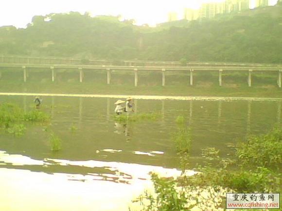 IMG0260A.jpg