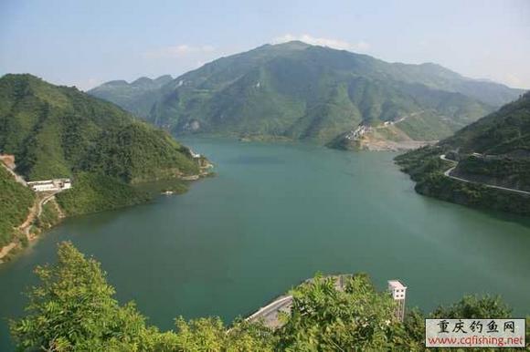 IMG_1.jpg