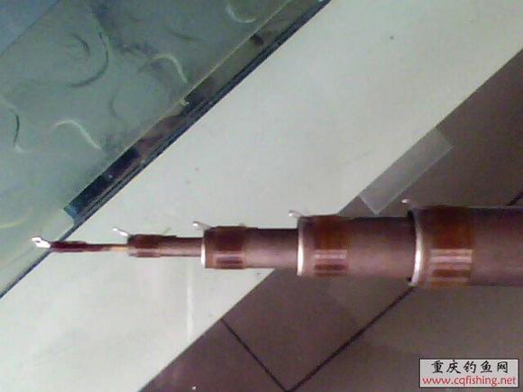 IMG1143A.jpg