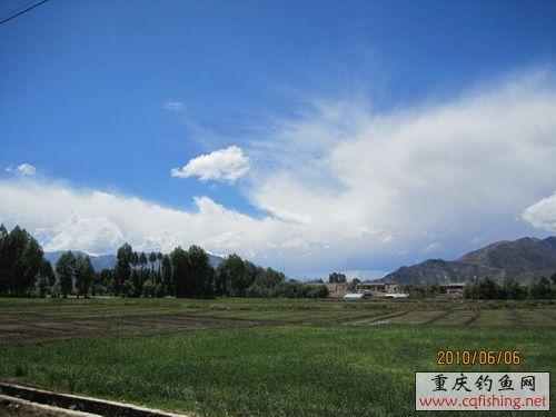 IMG_15211.jpg