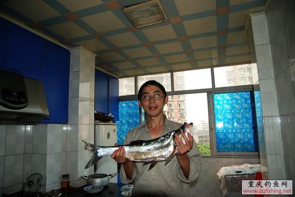 DSC_0172.jpg