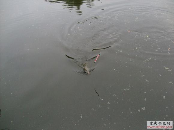 Ƭ 022.jpg