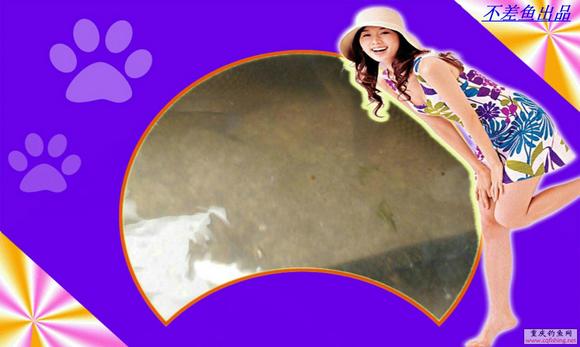 Ƭ0115.jpg