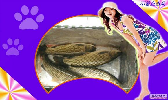 Ƭ0119.jpg