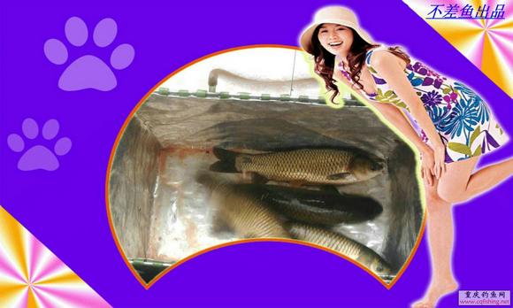 Ƭ0118.jpg