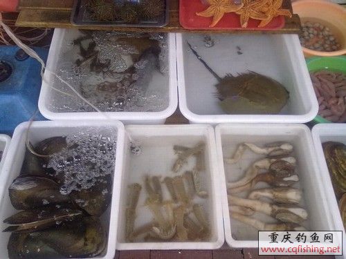 20100522210.jpg