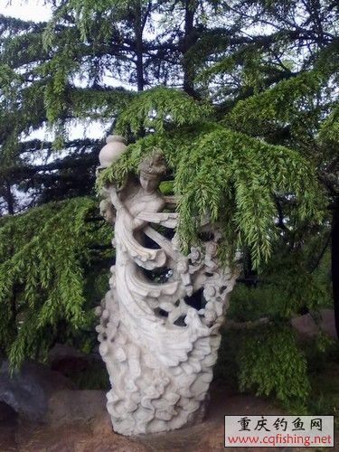 20100522231.jpg