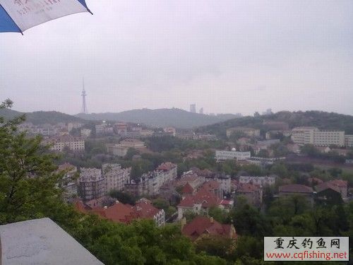 20100522228.jpg