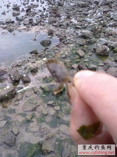 20100522244.jpg