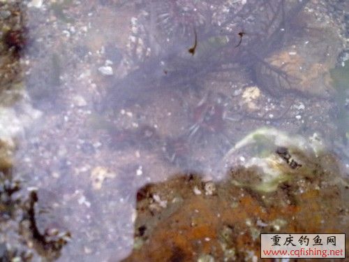 20100522247.jpg