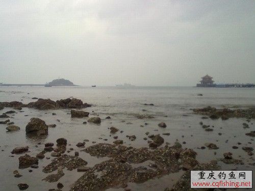 20100522250.jpg