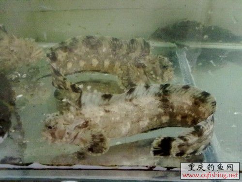 20100522253.jpg