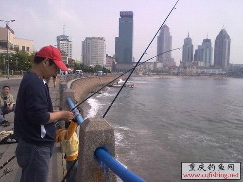 20100523265.jpg