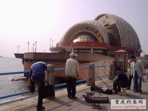 20100523261.jpg