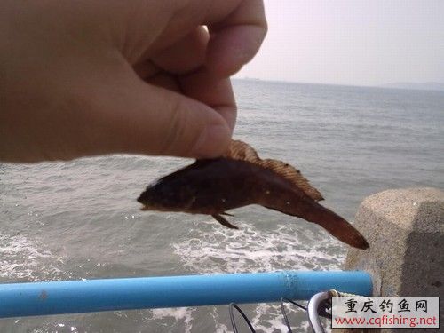 20100523269.jpg